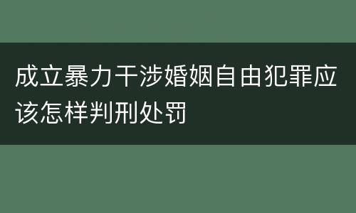 成立暴力干涉婚姻自由犯罪应该怎样判刑处罚