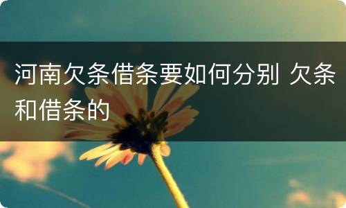 河南欠条借条要如何分别 欠条和借条的