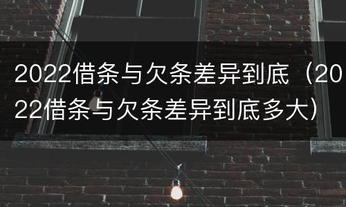 2022借条与欠条差异到底（2022借条与欠条差异到底多大）