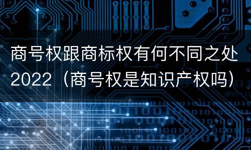 商号权跟商标权有何不同之处2022（商号权是知识产权吗）