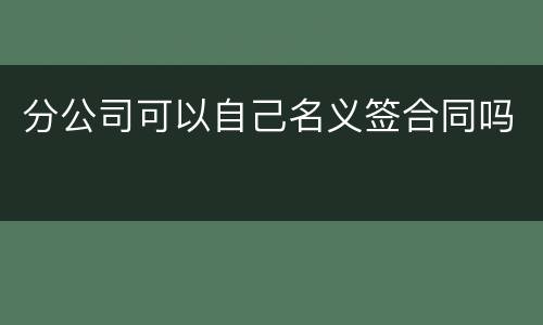 分公司可以自己名义签合同吗