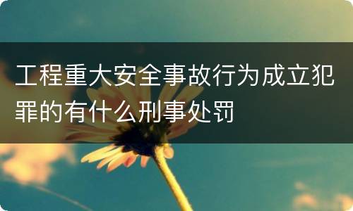 工程重大安全事故行为成立犯罪的有什么刑事处罚