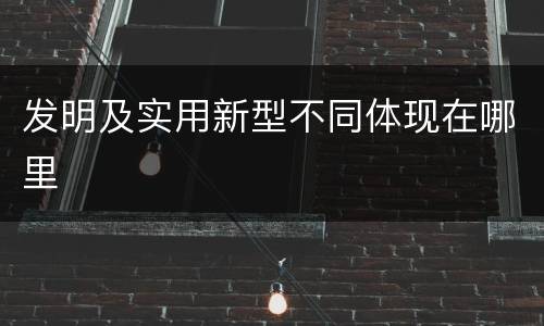 发明及实用新型不同体现在哪里