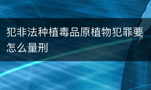 犯非法种植毒品原植物犯罪要怎么量刑