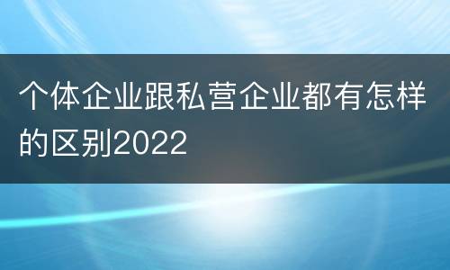 个体企业跟私营企业都有怎样的区别2022