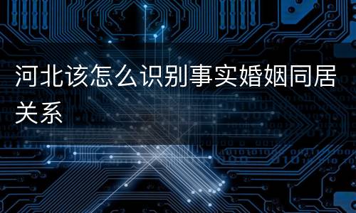 河北该怎么识别事实婚姻同居关系