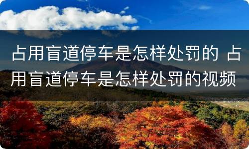 占用盲道停车是怎样处罚的 占用盲道停车是怎样处罚的视频