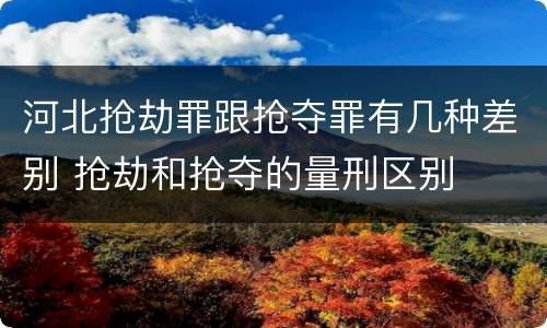 河北抢劫罪跟抢夺罪有几种差别 抢劫和抢夺的量刑区别
