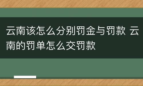 云南该怎么分别罚金与罚款 云南的罚单怎么交罚款