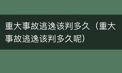 重大事故逃逸该判多久（重大事故逃逸该判多久呢）