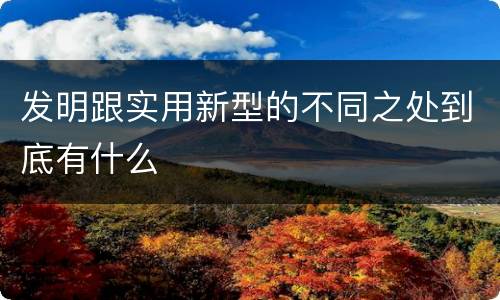 发明跟实用新型的不同之处到底有什么