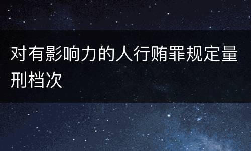 对有影响力的人行贿罪规定量刑档次