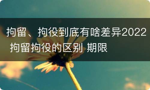拘留、拘役到底有啥差异2022 拘留拘役的区别 期限