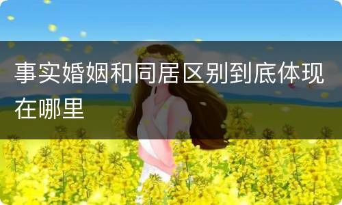 事实婚姻和同居区别到底体现在哪里