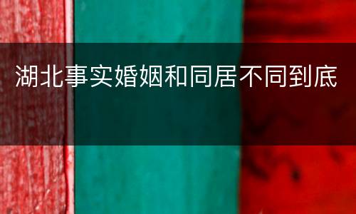湖北事实婚姻和同居不同到底