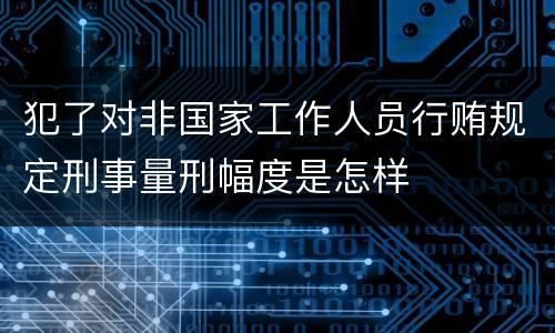 犯了对非国家工作人员行贿规定刑事量刑幅度是怎样