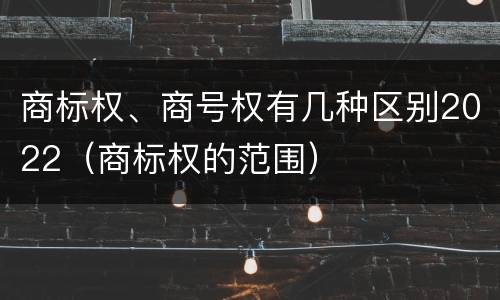 商标权、商号权有几种区别2022（商标权的范围）