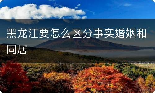 黑龙江要怎么区分事实婚姻和同居