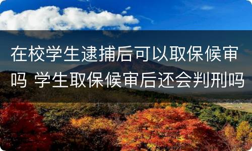 在校学生逮捕后可以取保候审吗 学生取保候审后还会判刑吗