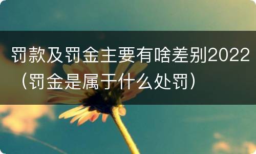 罚款及罚金主要有啥差别2022（罚金是属于什么处罚）