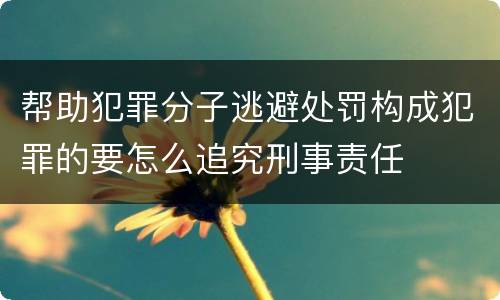 帮助犯罪分子逃避处罚构成犯罪的要怎么追究刑事责任