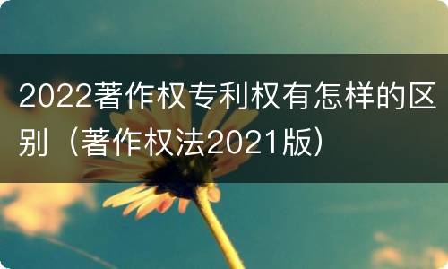 2022著作权专利权有怎样的区别（著作权法2021版）