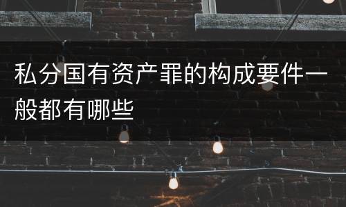 私分国有资产罪的构成要件一般都有哪些