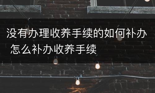没有办理收养手续的如何补办 怎么补办收养手续