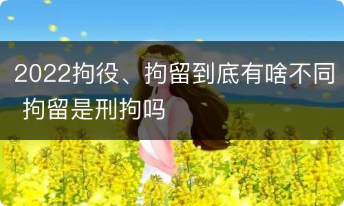 2022拘役、拘留到底有啥不同 拘留是刑拘吗