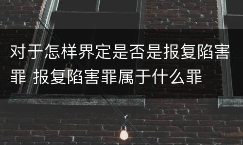 对于怎样界定是否是报复陷害罪 报复陷害罪属于什么罪