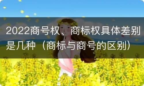 2022商号权、商标权具体差别是几种（商标与商号的区别）