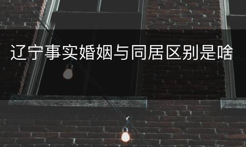 辽宁事实婚姻与同居区别是啥