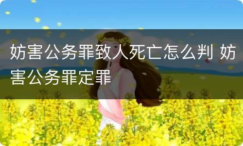 妨害公务罪致人死亡怎么判 妨害公务罪定罪