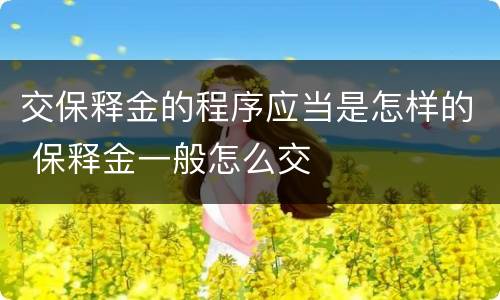 交保释金的程序应当是怎样的 保释金一般怎么交