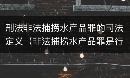 刑法非法捕捞水产品罪的司法定义（非法捕捞水产品罪是行为犯吗）
