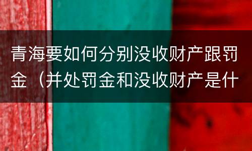 青海要如何分别没收财产跟罚金（并处罚金和没收财产是什么意思）