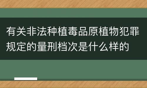 有关非法种植毒品原植物犯罪规定的量刑档次是什么样的