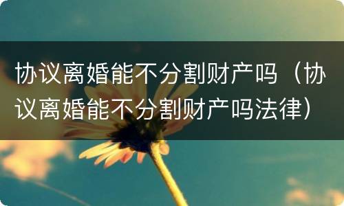 协议离婚能不分割财产吗（协议离婚能不分割财产吗法律）