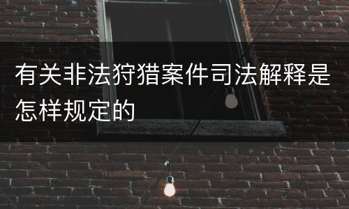 有关非法狩猎案件司法解释是怎样规定的