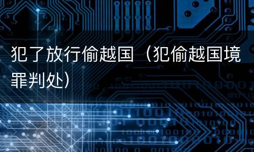 犯了放行偷越国（犯偷越国境罪判处）