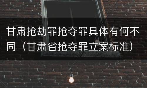 甘肃抢劫罪抢夺罪具体有何不同（甘肃省抢夺罪立案标准）