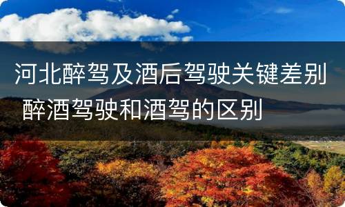 河北醉驾及酒后驾驶关键差别 醉酒驾驶和酒驾的区别