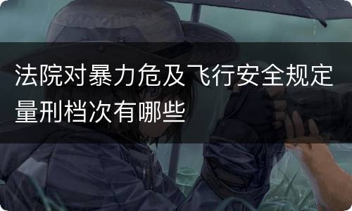 法院对暴力危及飞行安全规定量刑档次有哪些