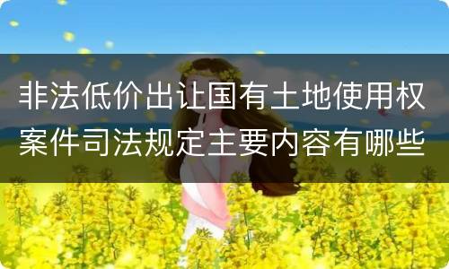 非法低价出让国有土地使用权案件司法规定主要内容有哪些
