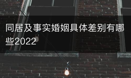 同居及事实婚姻具体差别有哪些2022