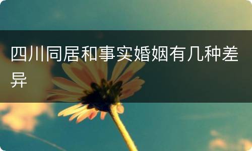 四川同居和事实婚姻有几种差异
