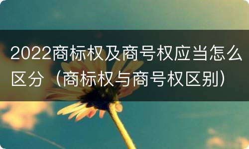 2022商标权及商号权应当怎么区分（商标权与商号权区别）