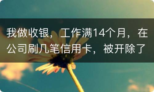 我做收银，工作满14个月，在公司刷几笔信用卡，被开除了，可以要求按劳动法赔偿吗。