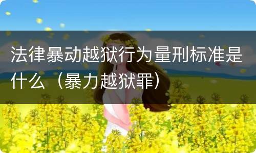 法律暴动越狱行为量刑标准是什么（暴力越狱罪）