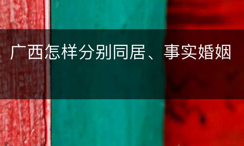 广西怎样分别同居、事实婚姻